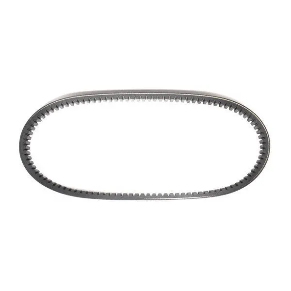 Asymmetric 3/4″ Torque Converter Belt – Part #203599 1