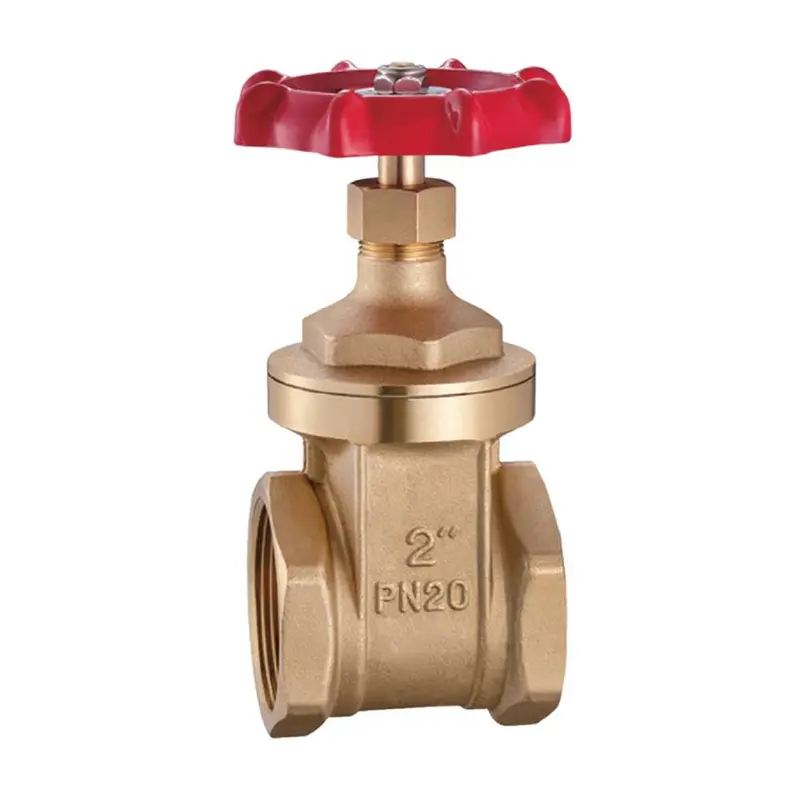 Ayron 0.5-Inch Brass Gate Valve 1
