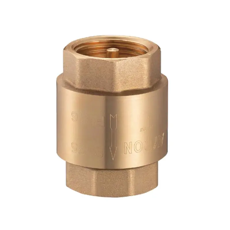 Ayron 0.75-Inch Brass Check Valve 1