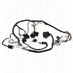 Complete 150Cc Atv Electrical Wiring Harness – Plug-And-Play Setup 1