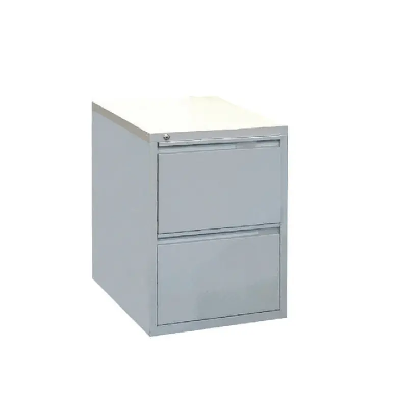 Godrej 2-Drawer Steel Filing Cabinet – 677 × 464 × 620 Mm 1