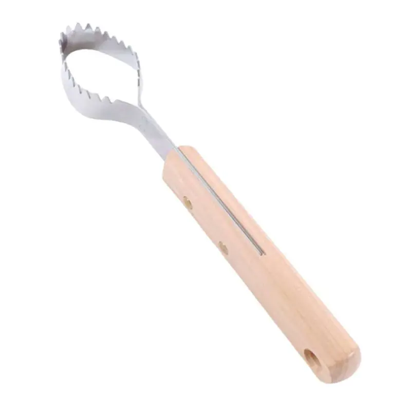 Pinto Complete Fish Scaling Scraper Tool 1