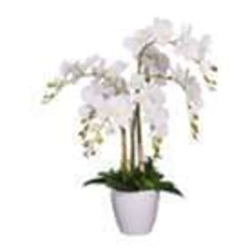 Realistic Artificial Orchid Plant – 75Cm Tall 1