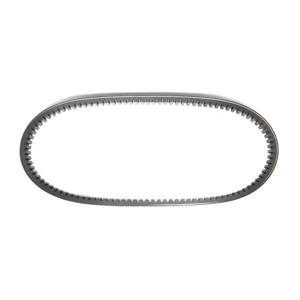 Symmetric 3/4″ Torque Converter Belt – Part #203583 1