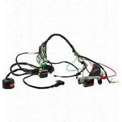 Universal Atv Wiring Harness – Designed For 50Cc To 125Cc Engines 1