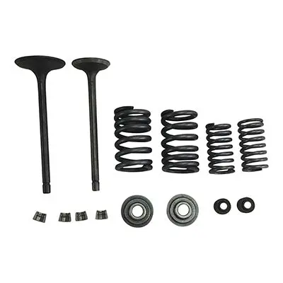 Valve Kit With Springs & Retainers For Cg250 Engines (Version 8) 1