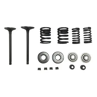 Valve Kit With Springs & Retainers For Linhai Yamaha 260Cc/300Cc Engines (Version 7) 1