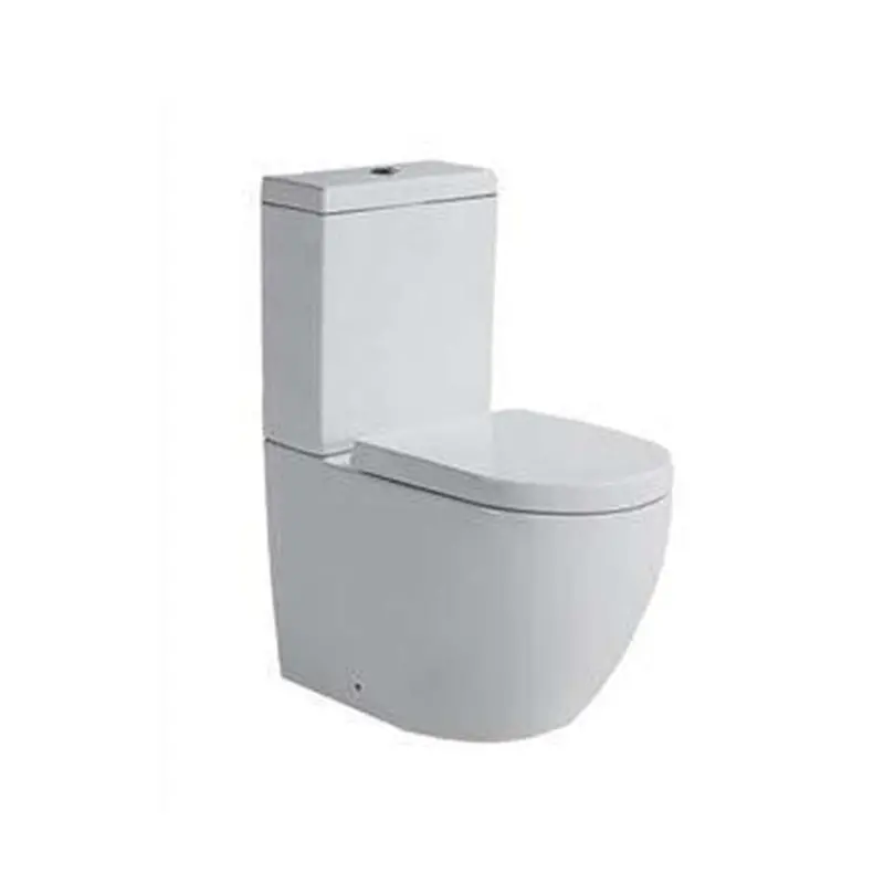 Zeta S-Trap White Toilet Suite With Stainless Steel Finish – 250Mm Rough-In 1