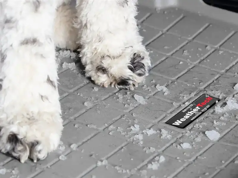 Weathertech 421726 Custom Floor Liners – All-Weather Protection For 2023+ Toyota Prius 1